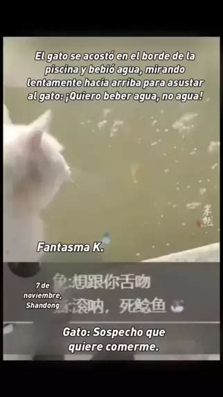 quiero agua live gore